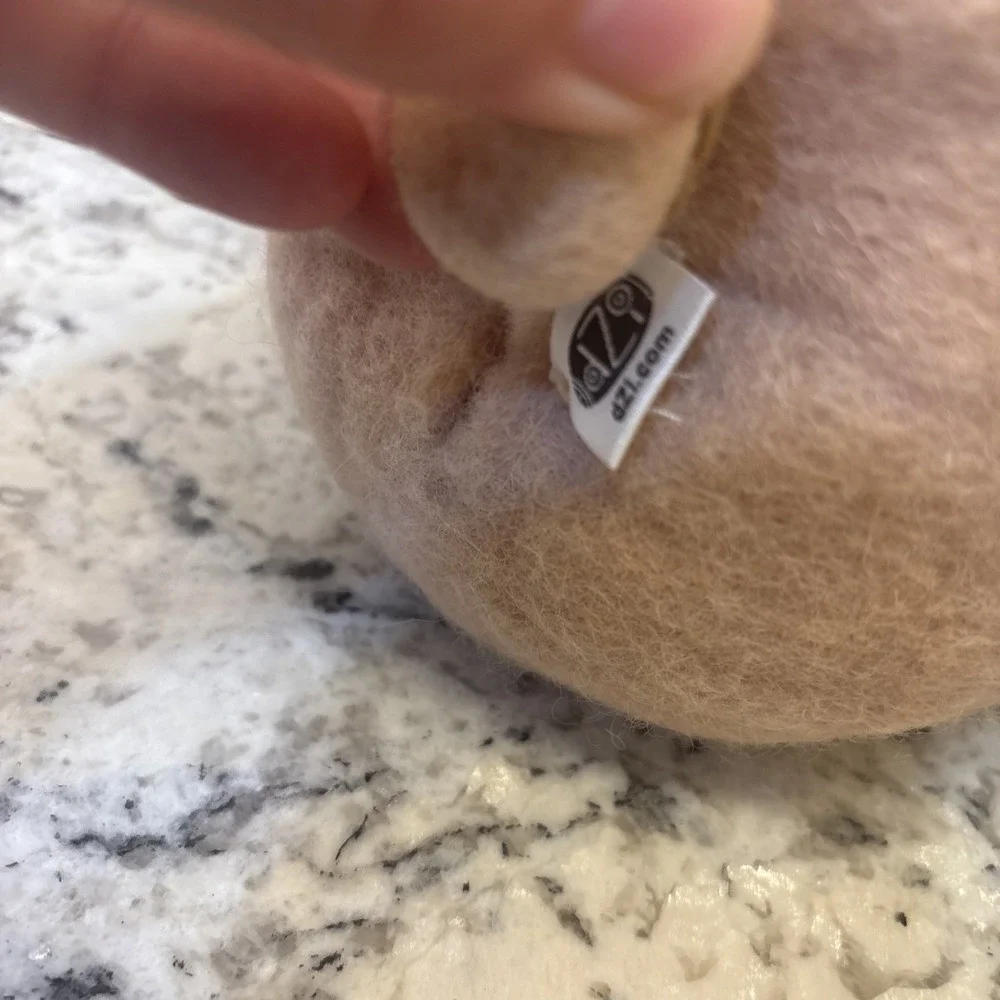 DZI magic mushroom